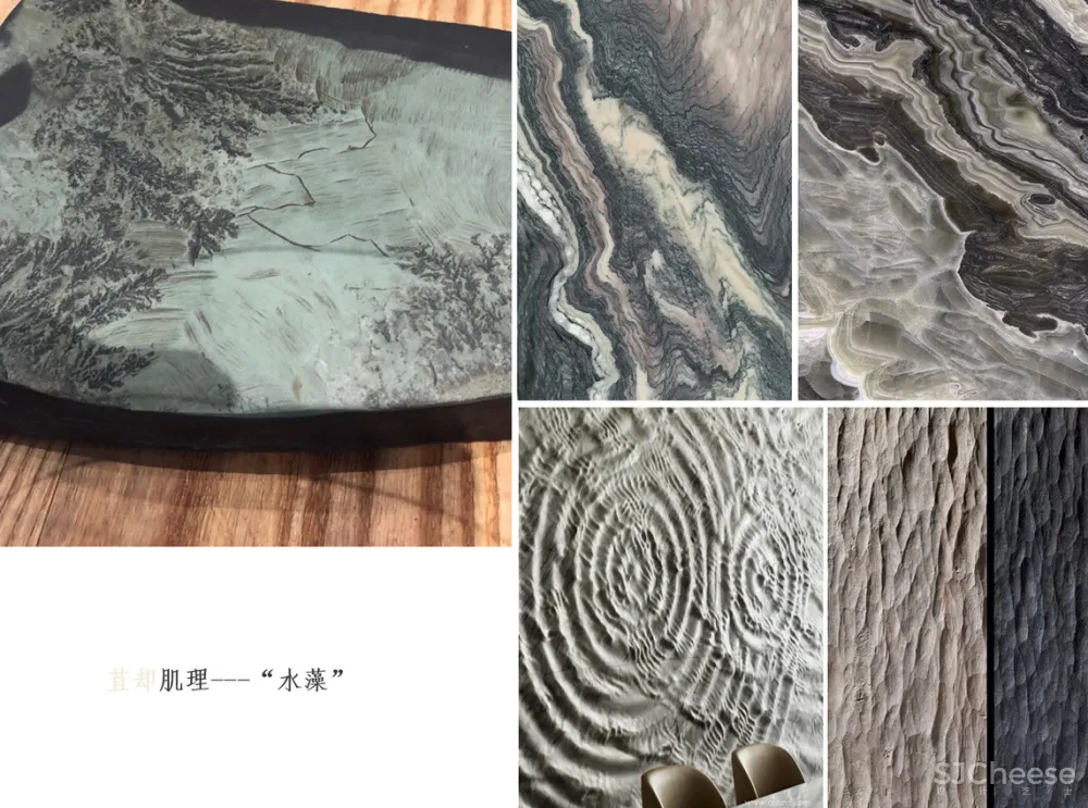 金螳螂最新力作