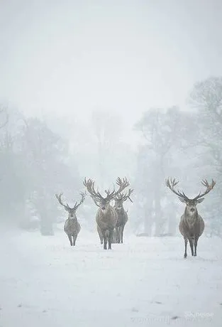 醉美自然生活,是一餐四季皆诗情画意 曾建龙