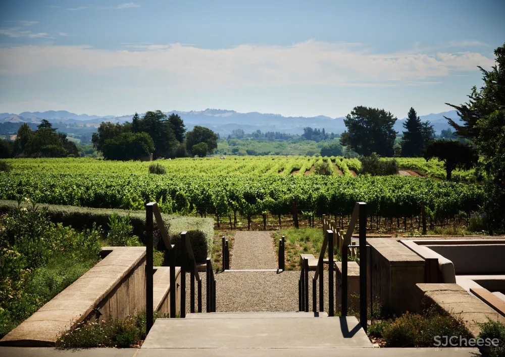 首发 | 加州的花卉酒庄以优雅的氛围拥抱大自然