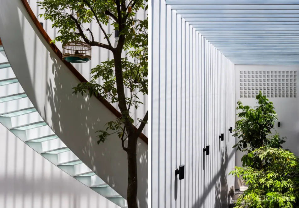 花园联系私密空间的三口之家 T住宅 Creative Architects