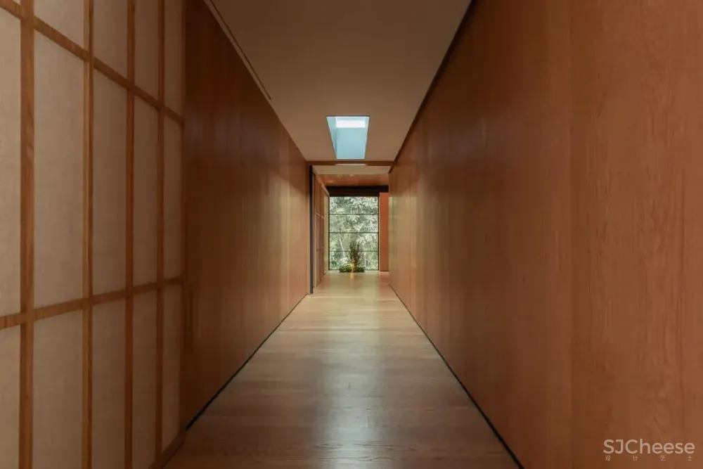 5Sólidos丨纵然人世间注定孤独 幸有些许温暖如初