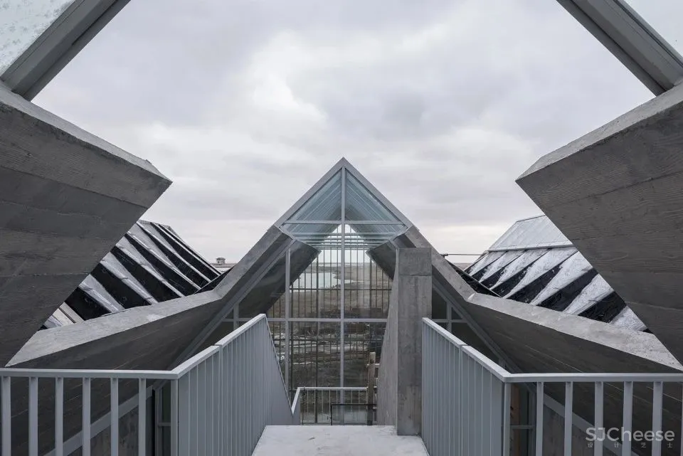 深度 崇明东滩湿地科研宣教中心：“举重若轻”