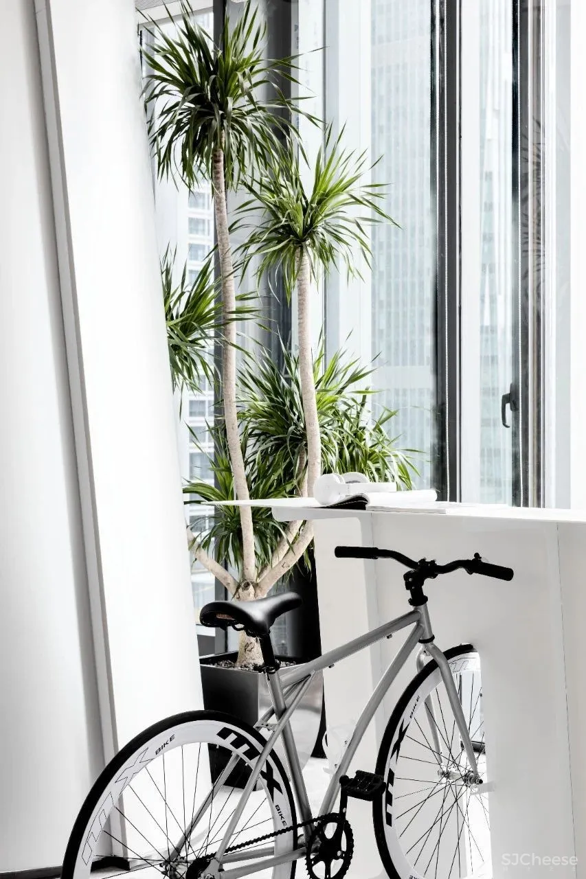 艺居设计 X 国美地产:刚柔并济的绝美设计,完美的曲线,容纳万物!