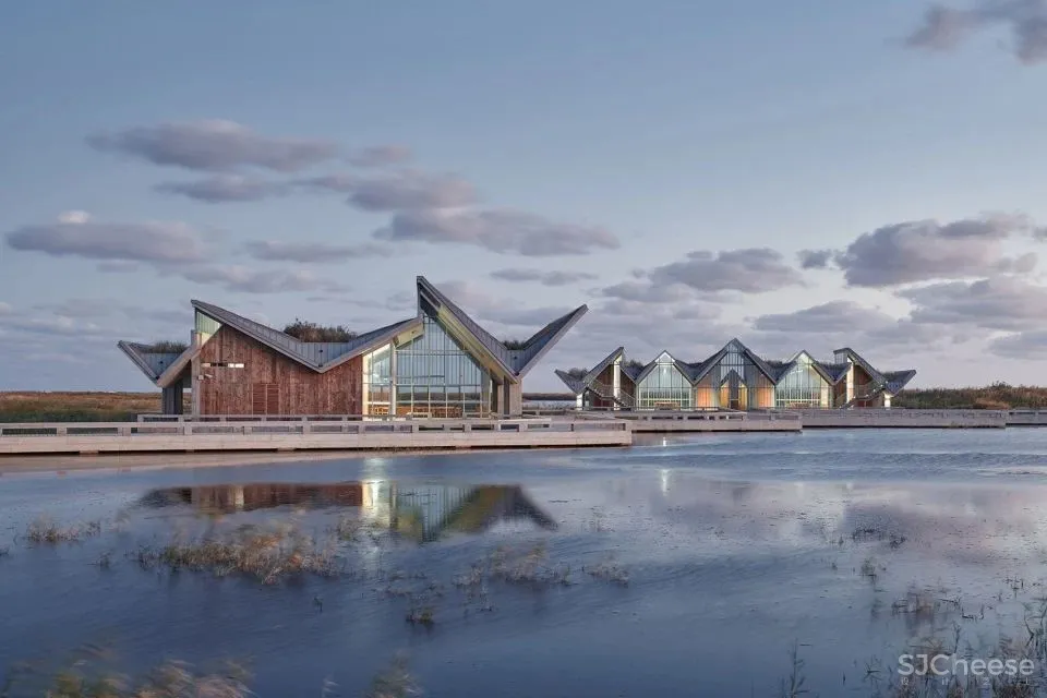 深度 崇明东滩湿地科研宣教中心：“举重若轻”