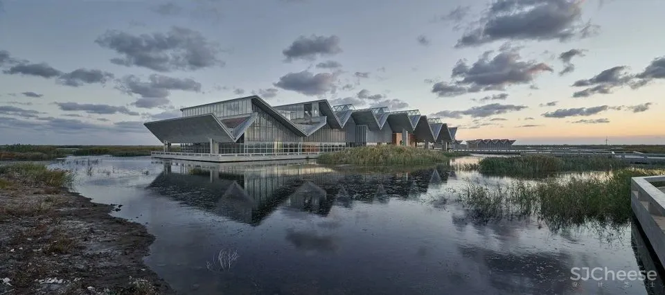 深度 崇明东滩湿地科研宣教中心：“举重若轻”