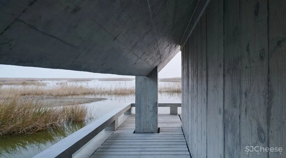 深度 崇明东滩湿地科研宣教中心：“举重若轻”