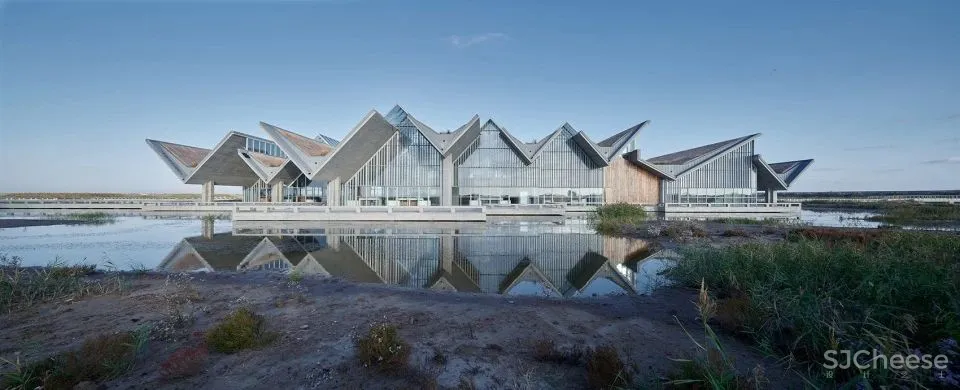 深度 崇明东滩湿地科研宣教中心：“举重若轻”