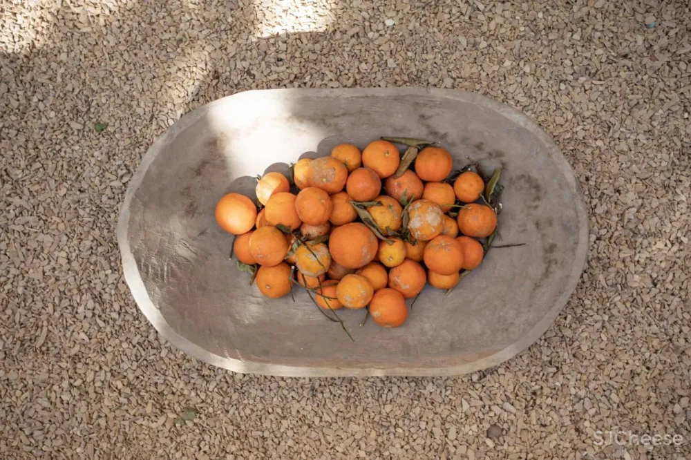 MNMA STUDIO在圣保罗的TERRACOTTA梦想中的两种热带风情。