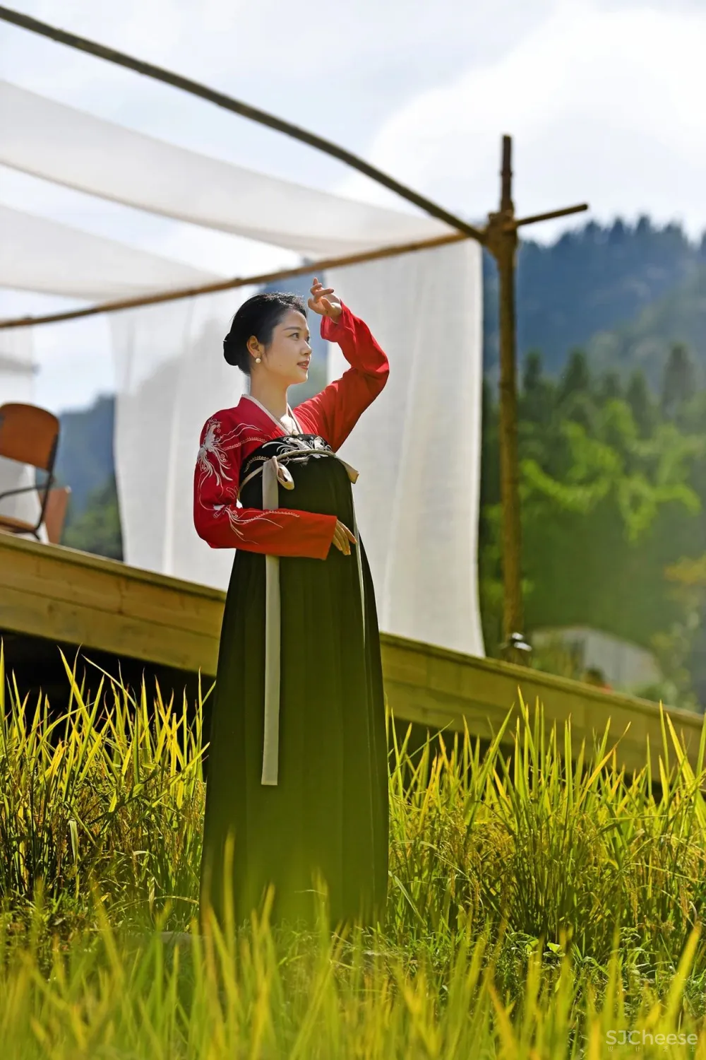 比清迈更清凉的同款田园生活!告别高温,不用防晒没有蚊虫,睡入云端的稻田之上!