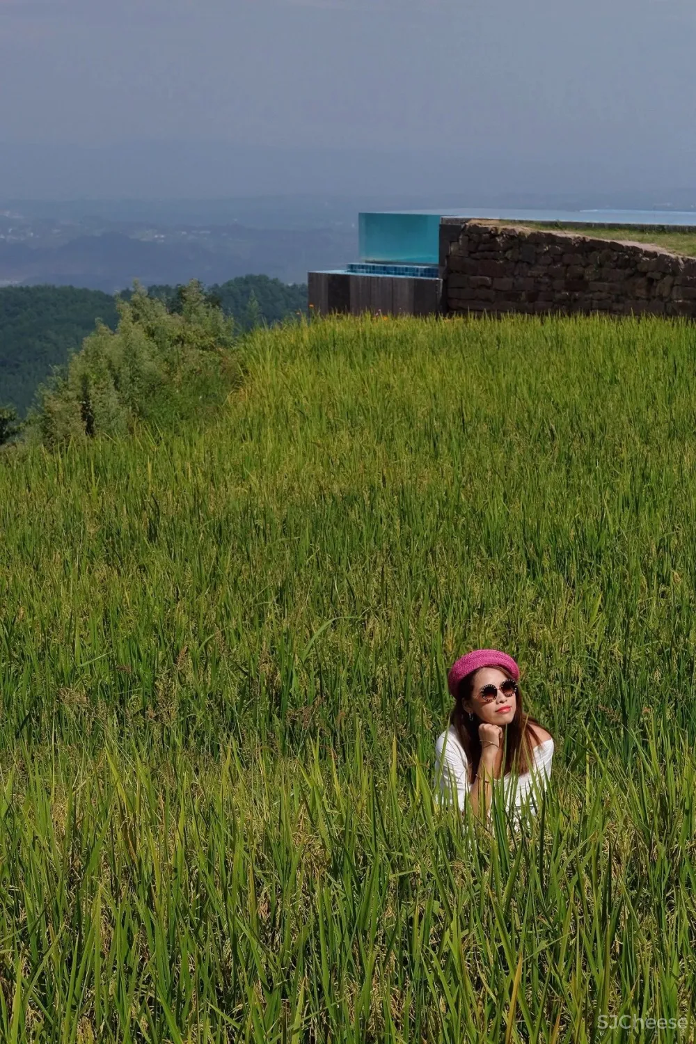比清迈更清凉的同款田园生活!告别高温,不用防晒没有蚊虫,睡入云端的稻田之上!