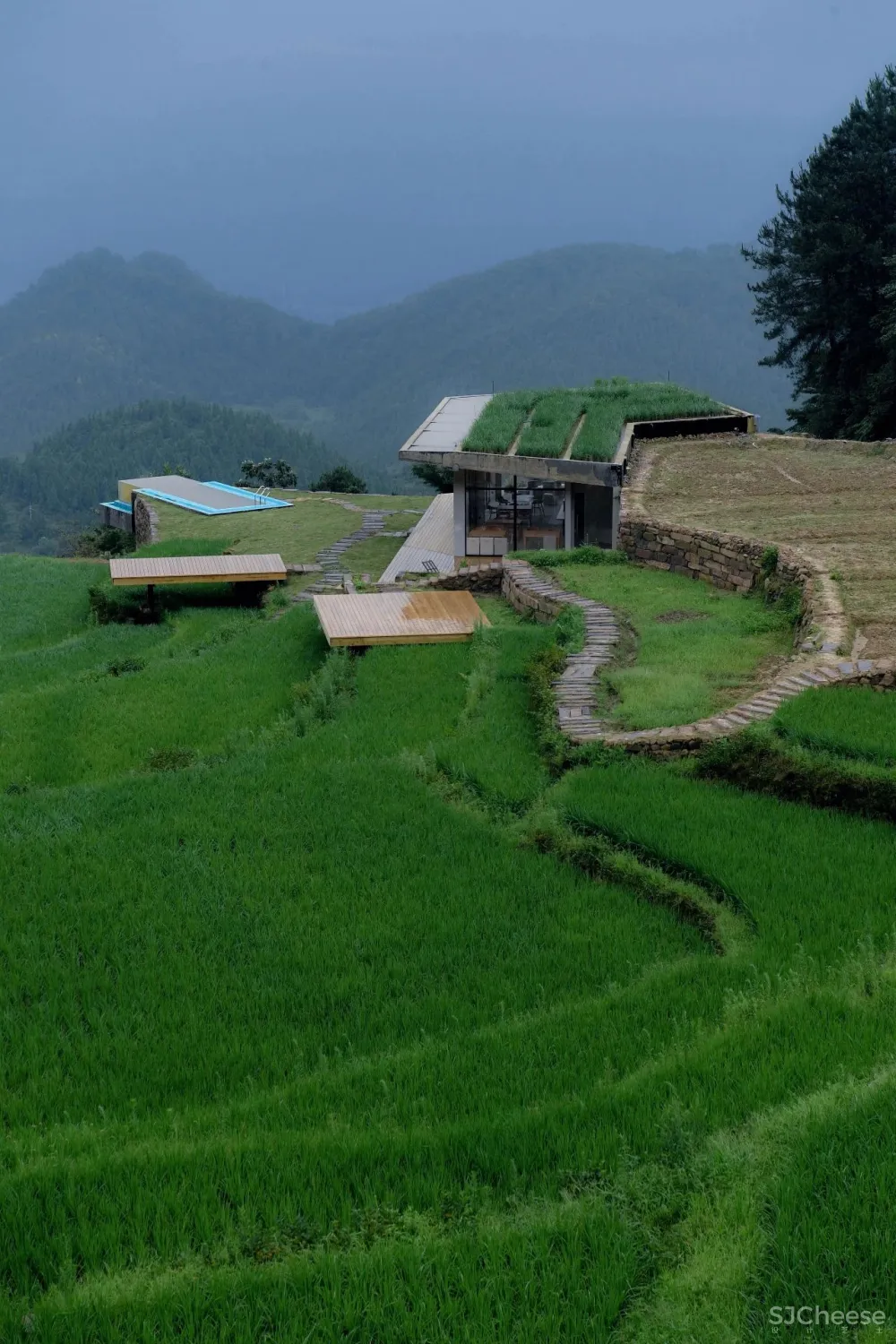 比清迈更清凉的同款田园生活!告别高温,不用防晒没有蚊虫,睡入云端的稻田之上!