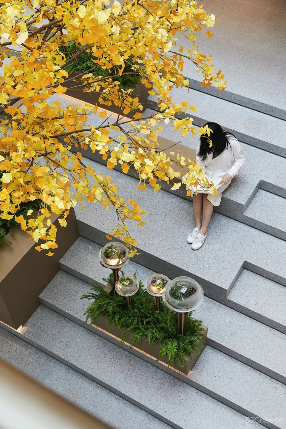 乐尚设计丨大隐于世的云水桃源