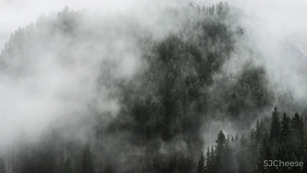 我向往的森林秘境 丨 意大利最新揭幕的心灵治愈酒店