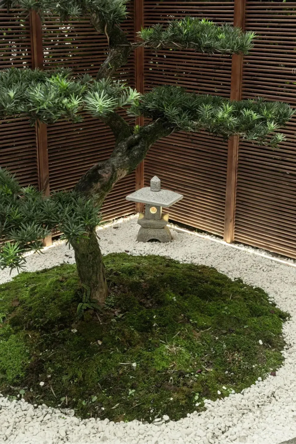 重启2020,从治愈系的家开始 双宝设计