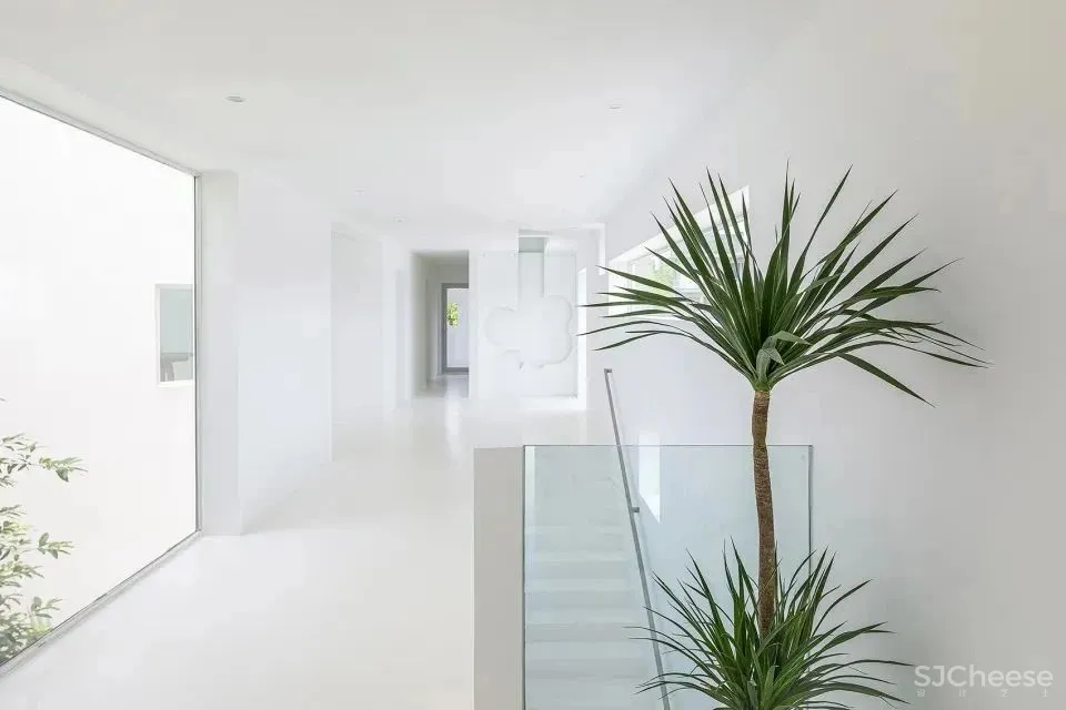 我家有地,为什么要造丑房子?上海夫妻200万造出极简别墅