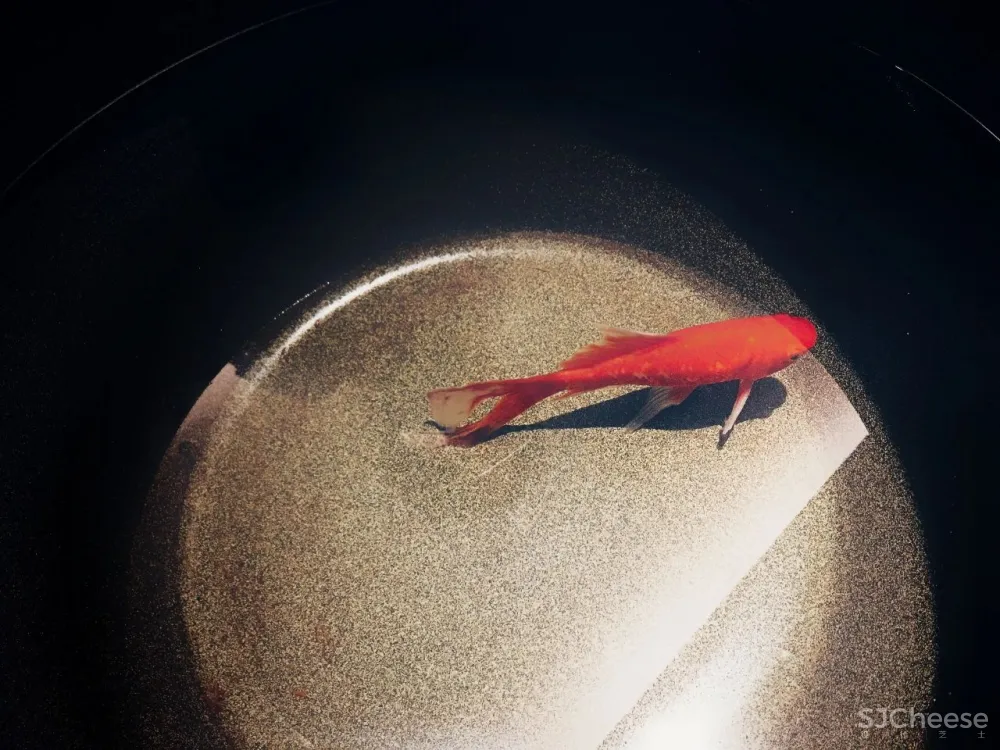 【2019年鉴榜酒店作品】乐领 · 梦蝶庄 于强