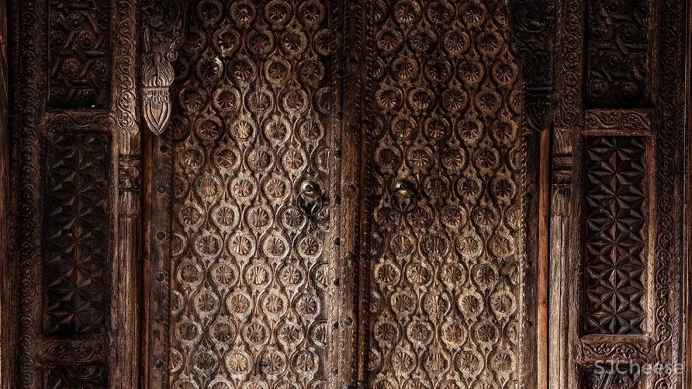 张灿新作 归隐到热带雨林中!