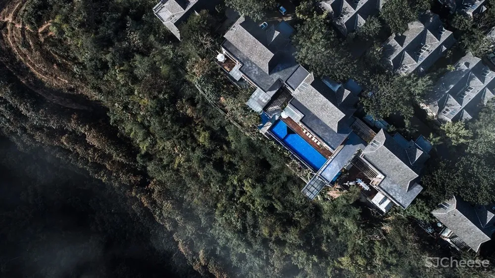 张灿新作 归隐到热带雨林中!