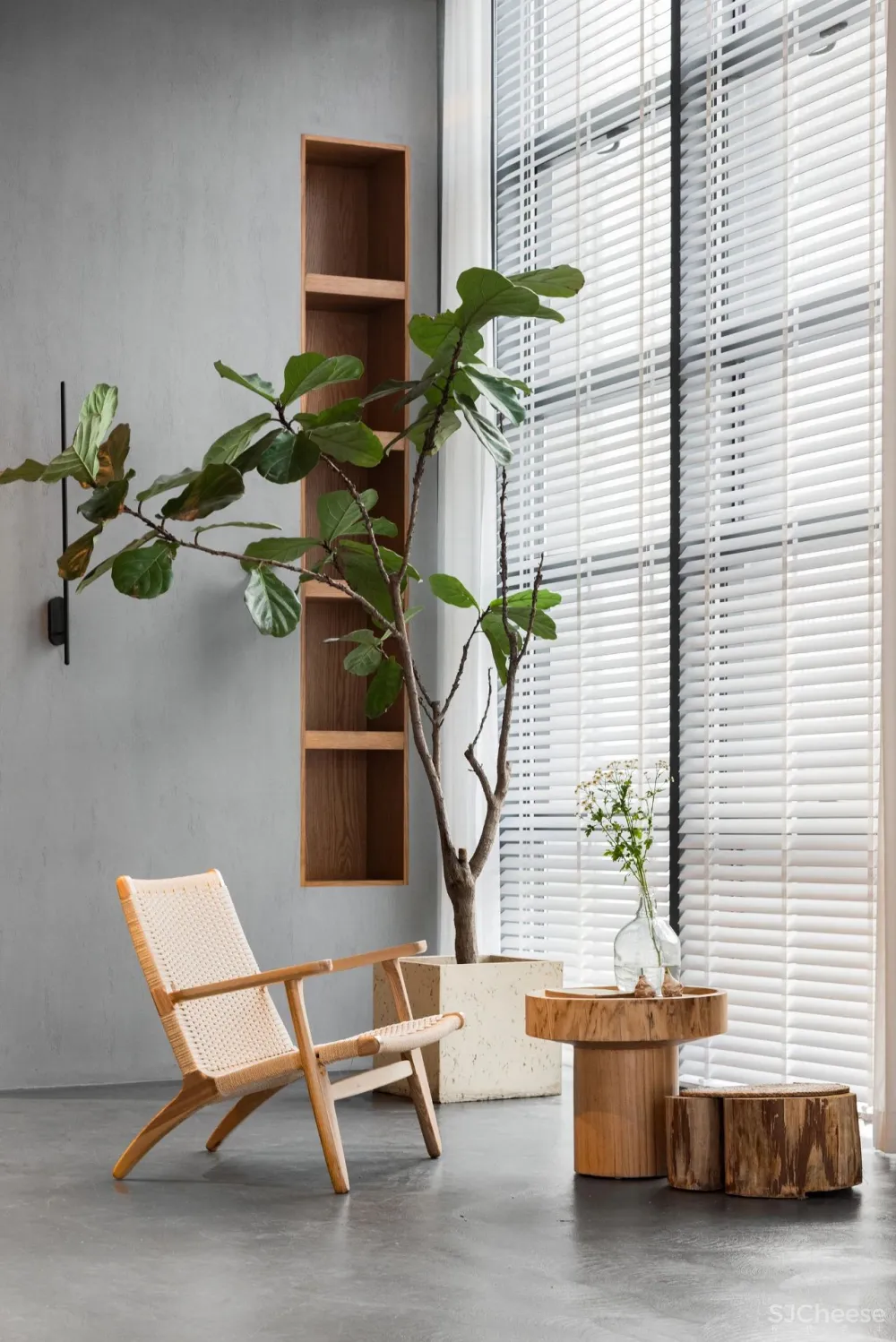 DCD 新作丨福州MOOLIS生活馆