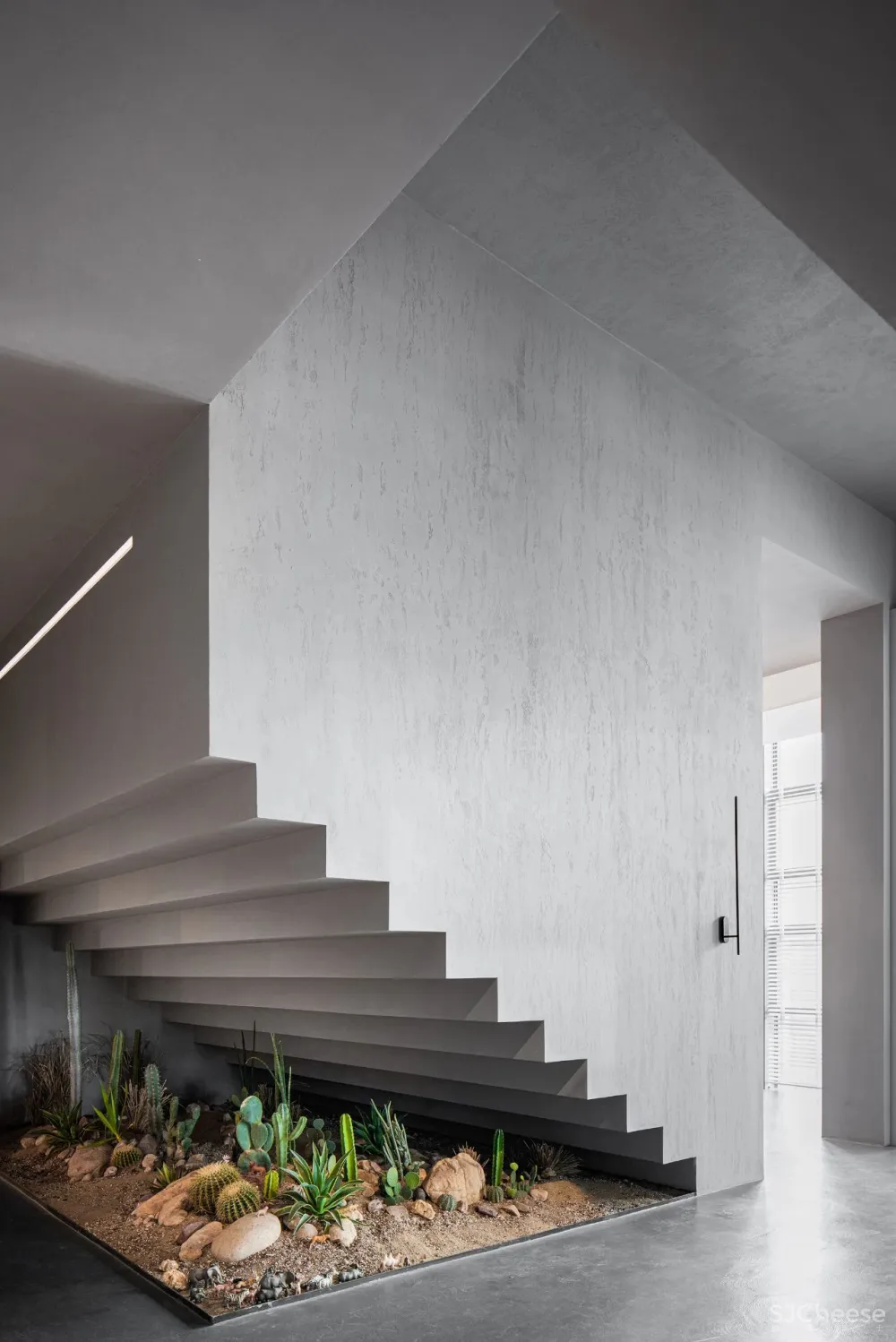 DCD 新作丨福州MOOLIS生活馆