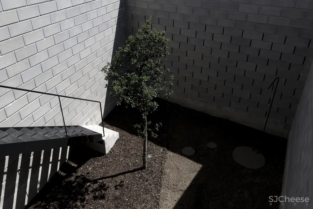 一个有生命力的居住容器 破碎之家 NPS Arquitectos