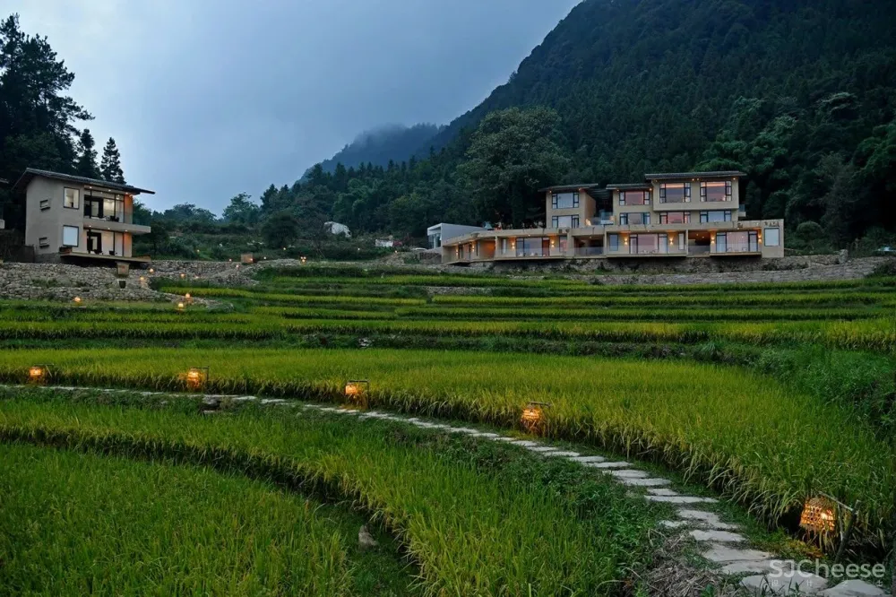 比清迈更清凉的同款田园生活!告别高温,不用防晒没有蚊虫,睡入云端的稻田之上!