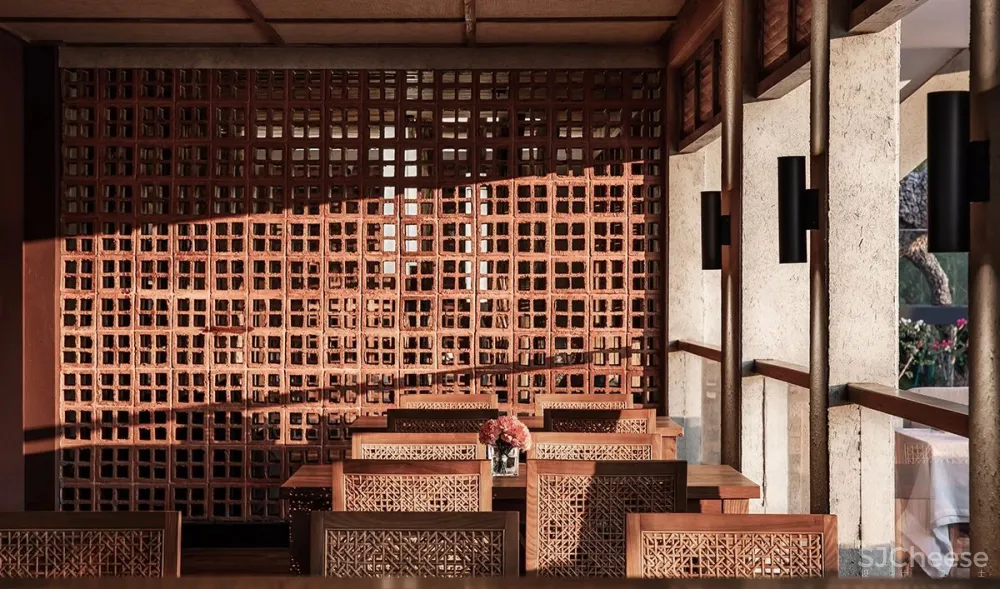 张灿新作 归隐到热带雨林中!