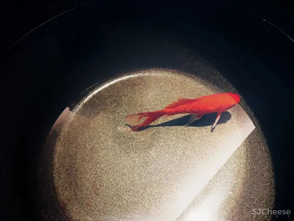 乐领 · 梦蝶庄 于强