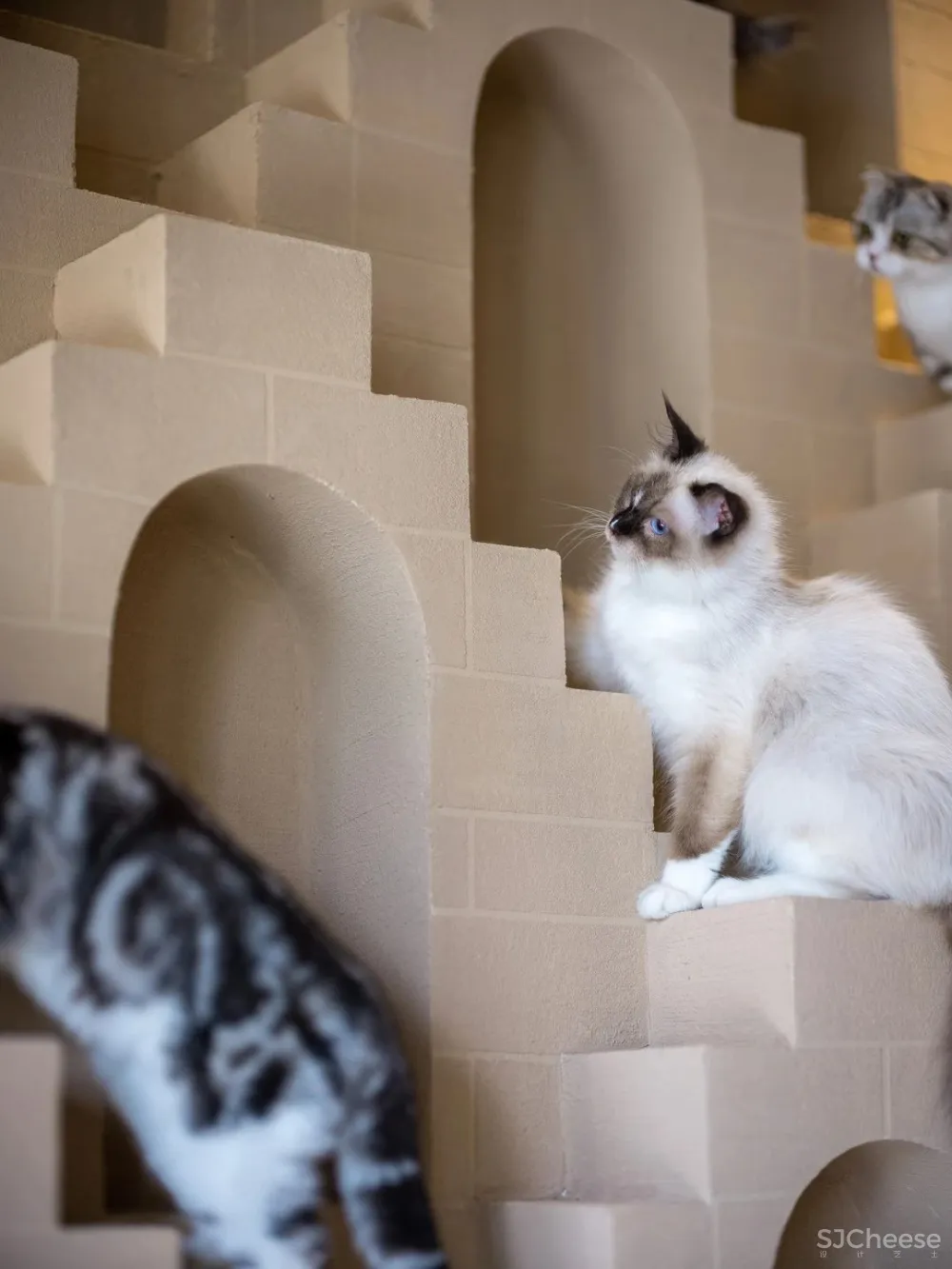 明德设计丨西安招商·城市主场:城市青年的新潮社区