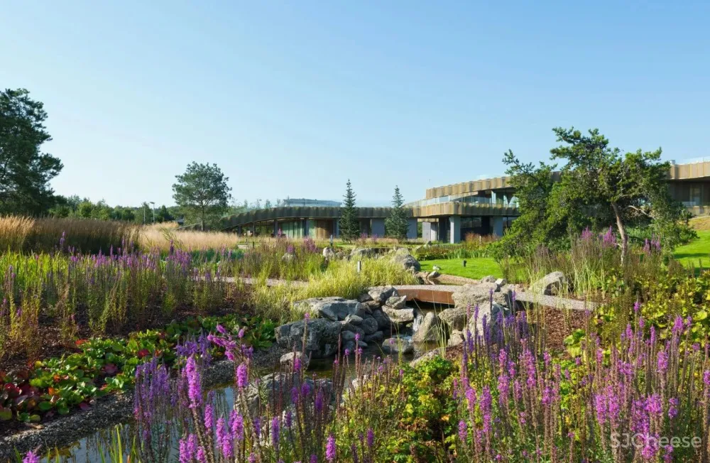 5300m² 农村超级豪宅,将家打造成生态游乐园,还自带足球场!