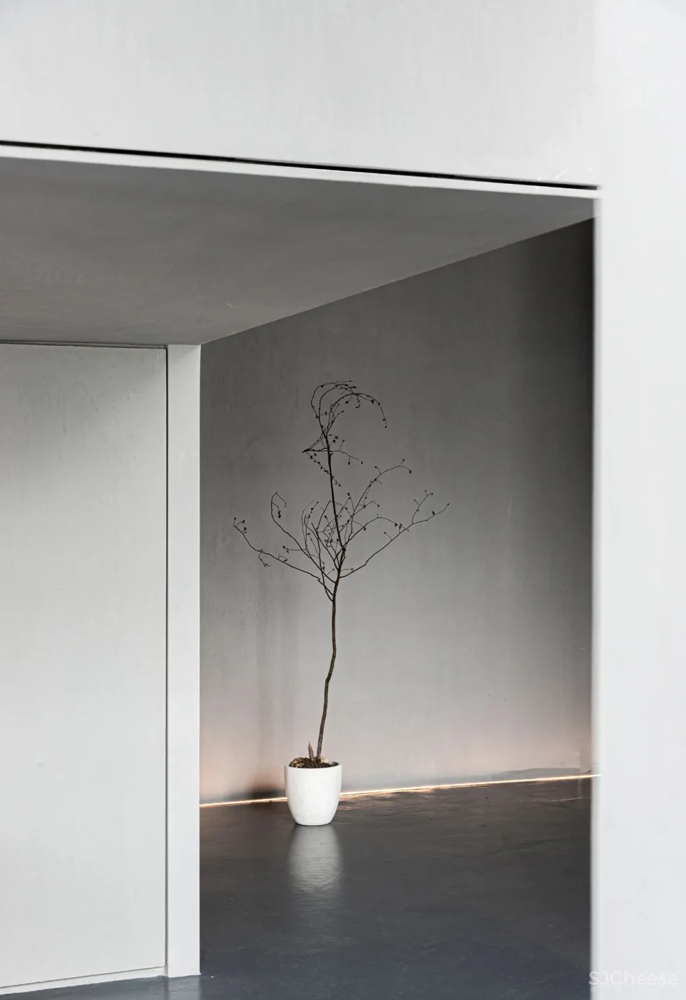 DCD 新作丨福州MOOLIS生活馆