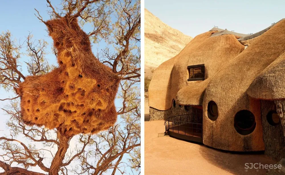 跨界狂人竟用茅草打造超级鸟巢住宅，这就是怪诞的野奢生活！