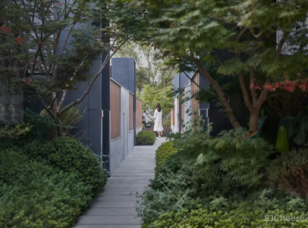 他们在苏州闹市「造院子」,假装在宋朝