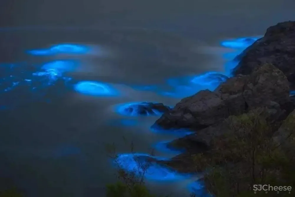 元禾大千设计丨星辰与大海，是征途也是起点