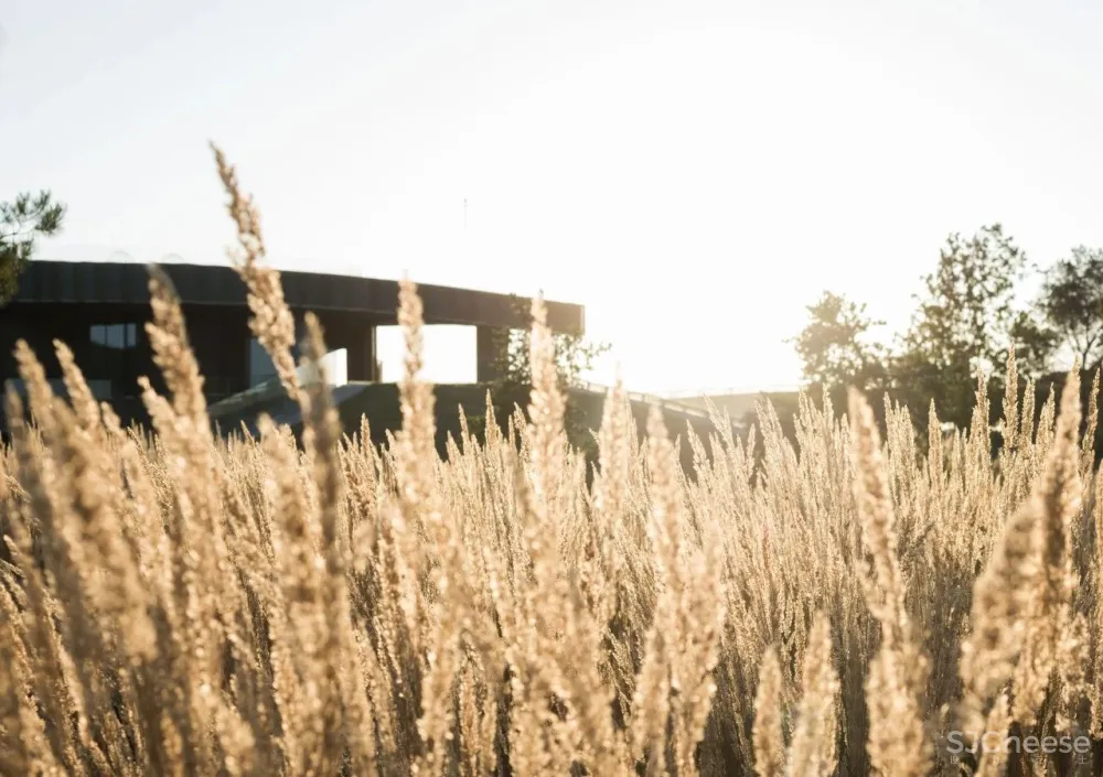 5300m² 农村超级豪宅,将家打造成生态游乐园,还自带足球场!