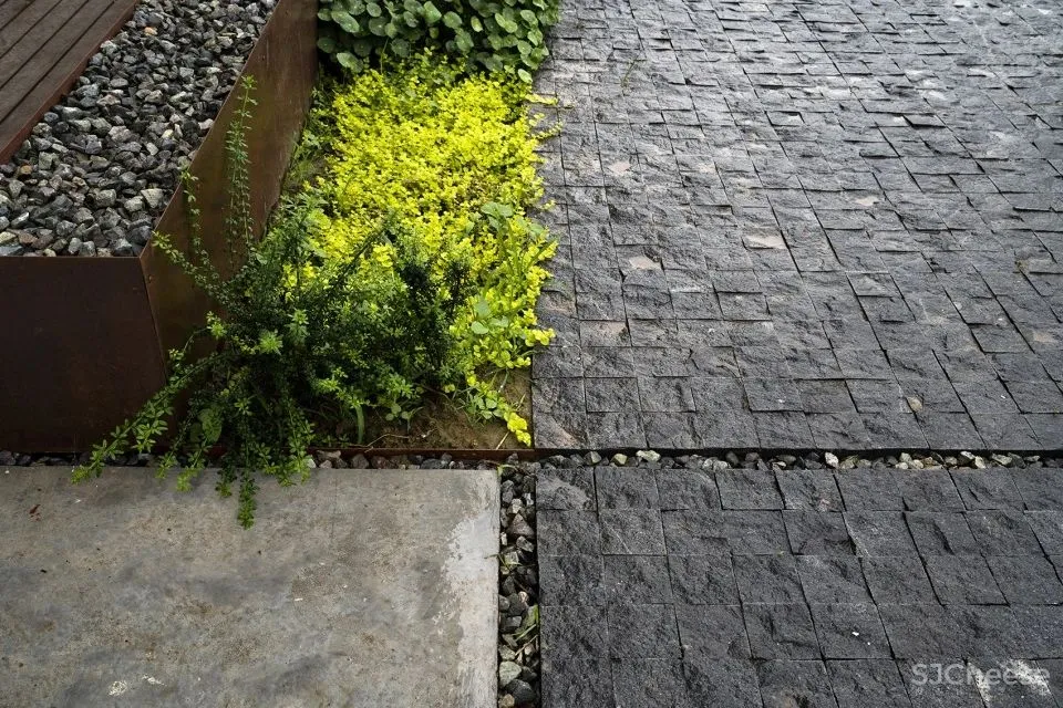 非典型性反乌托邦乡建 面向田野的住宅 空格建筑