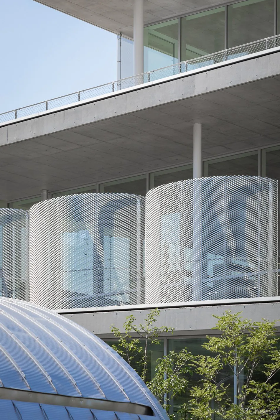 妹岛和世为母校设计的图书馆,用混凝土、玻璃构成的明净空间