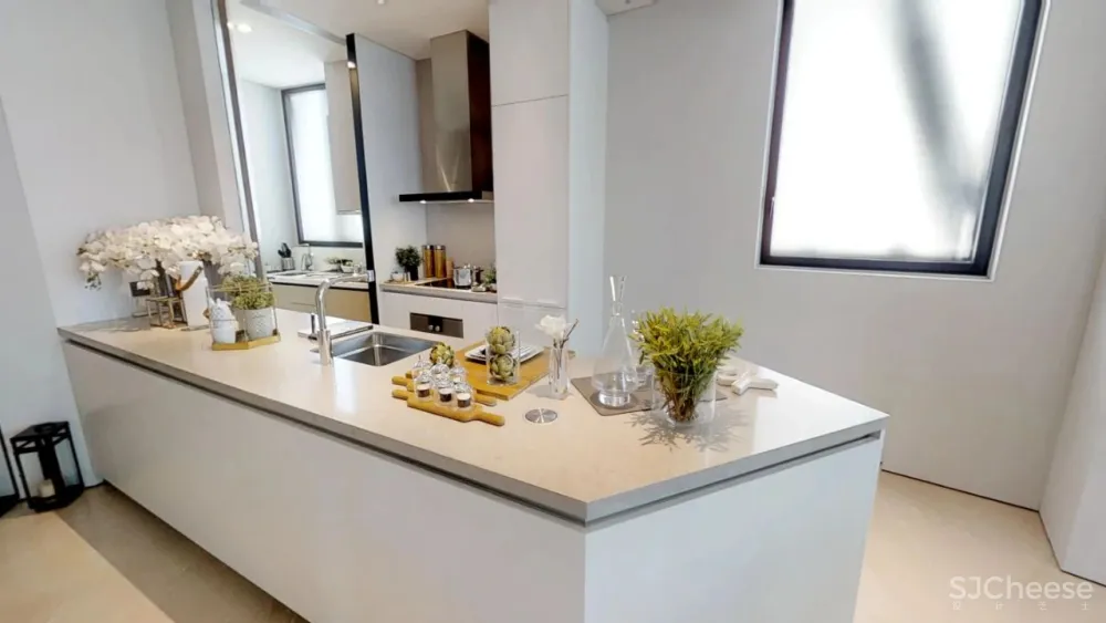 SCDA曾仕乾新作 曼谷泰颐「悦榕轩」六星级超豪华公寓 实景 效果图 平面图