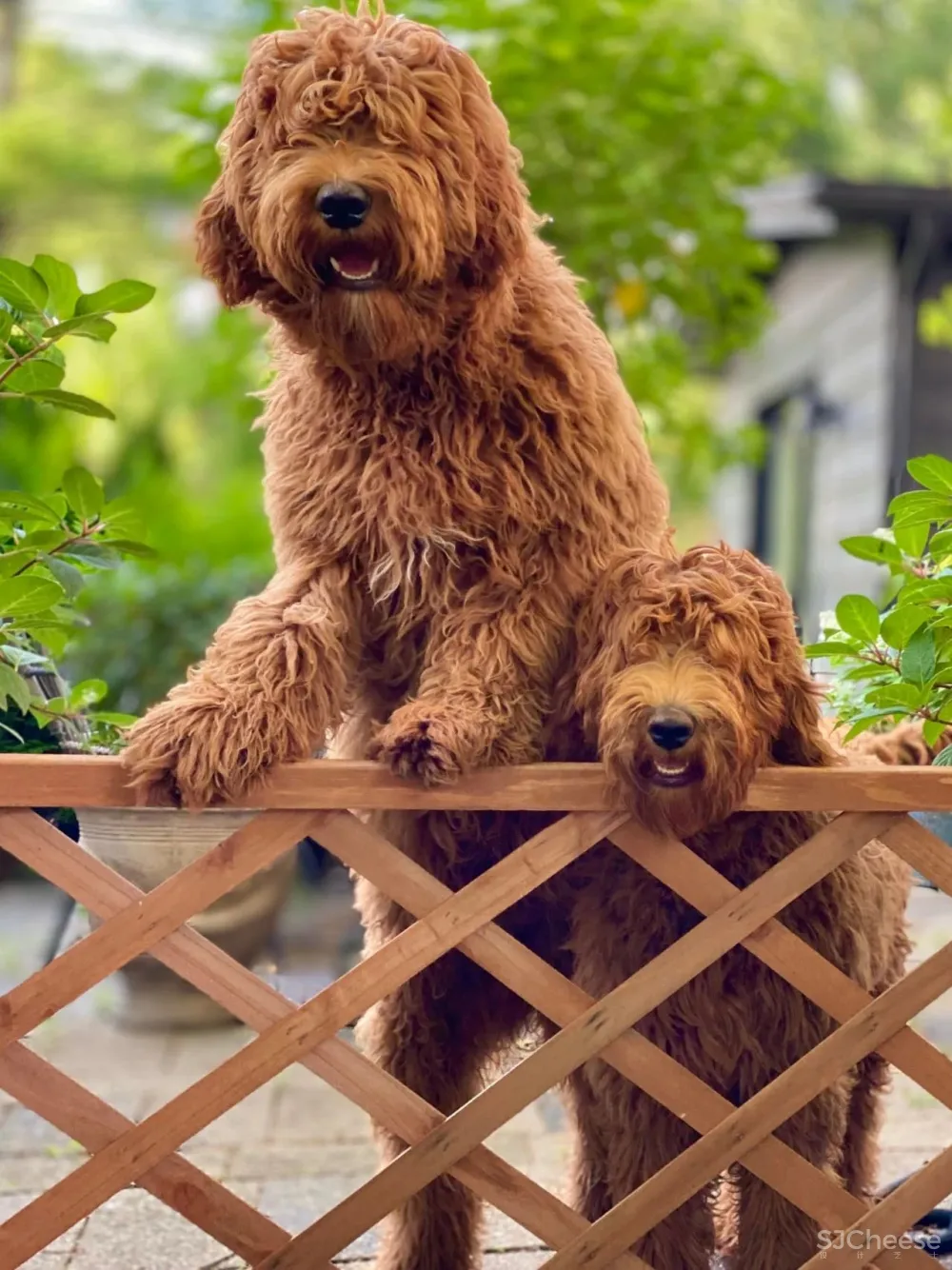 心真大!靠照片租房,结果悲剧了