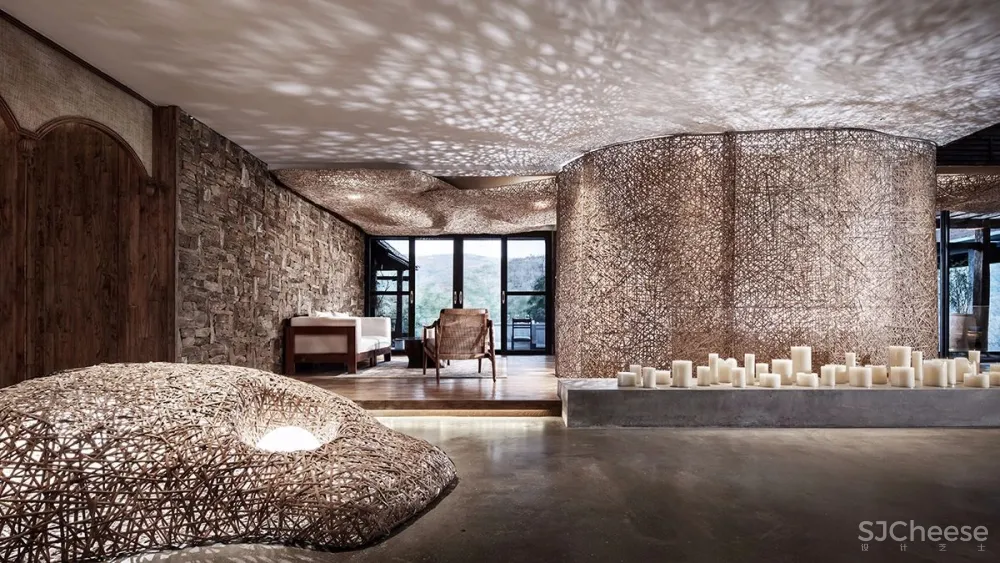 张灿新作 归隐到热带雨林中!