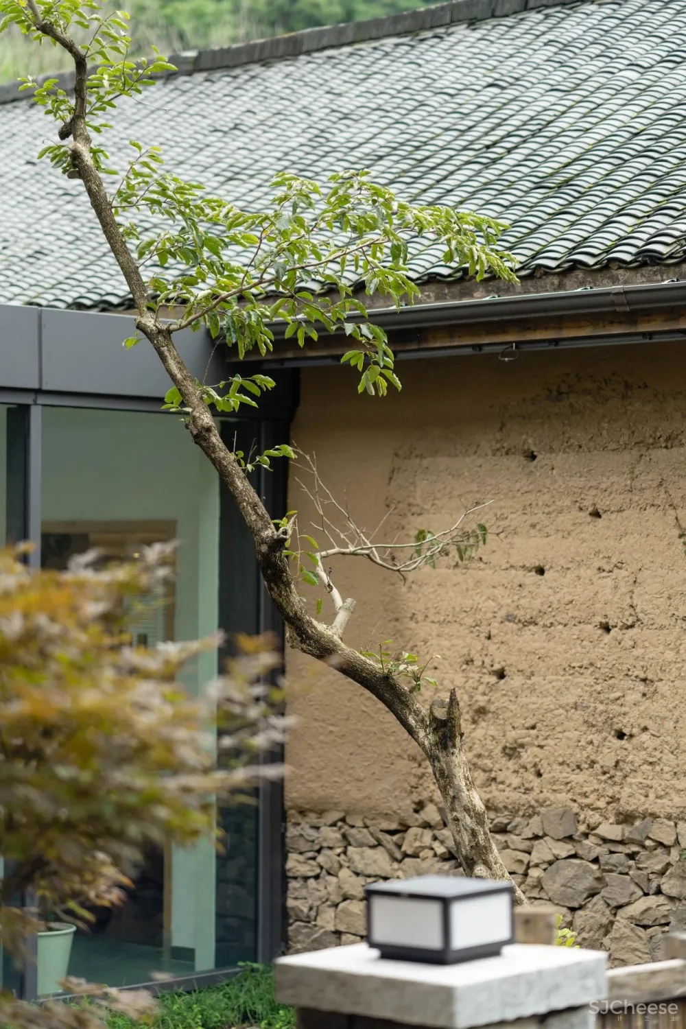 云里安凹：从14户普通民房到142亩精致山居，一座平凡村落的进化史