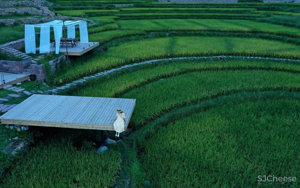 比清迈更清凉的同款田园生活!告别高温,不用防晒没有蚊虫,睡入云端的稻田之上!