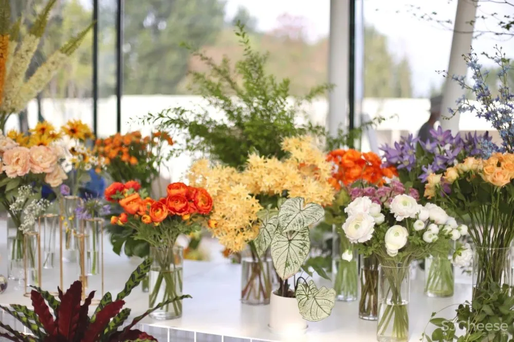 SWS 作品 停靠在青岛小镇上的四季花房:青岛西海岸云中花社咖啡馆