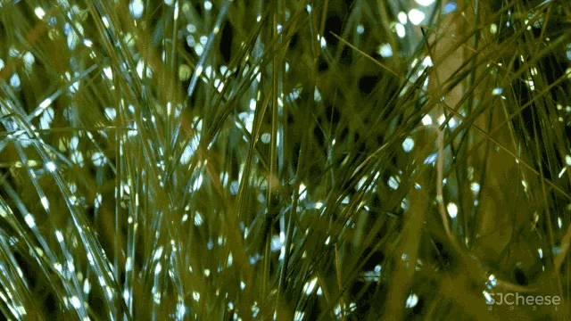 乐尚设计丨大隐于世的云水桃源