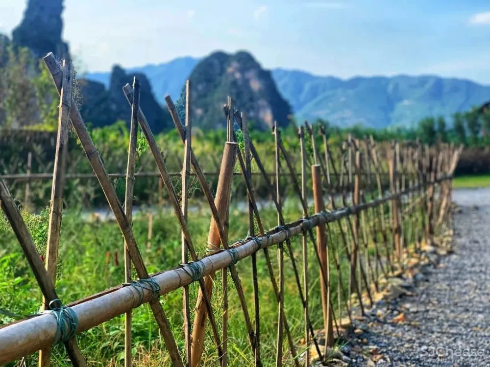 艺术旅呈 STAYCATION·解锁城中假日时髦新玩法