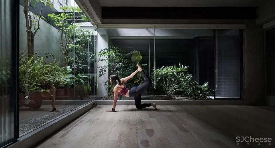 将绿意和天光引入地下 士东许宅 KC design studio