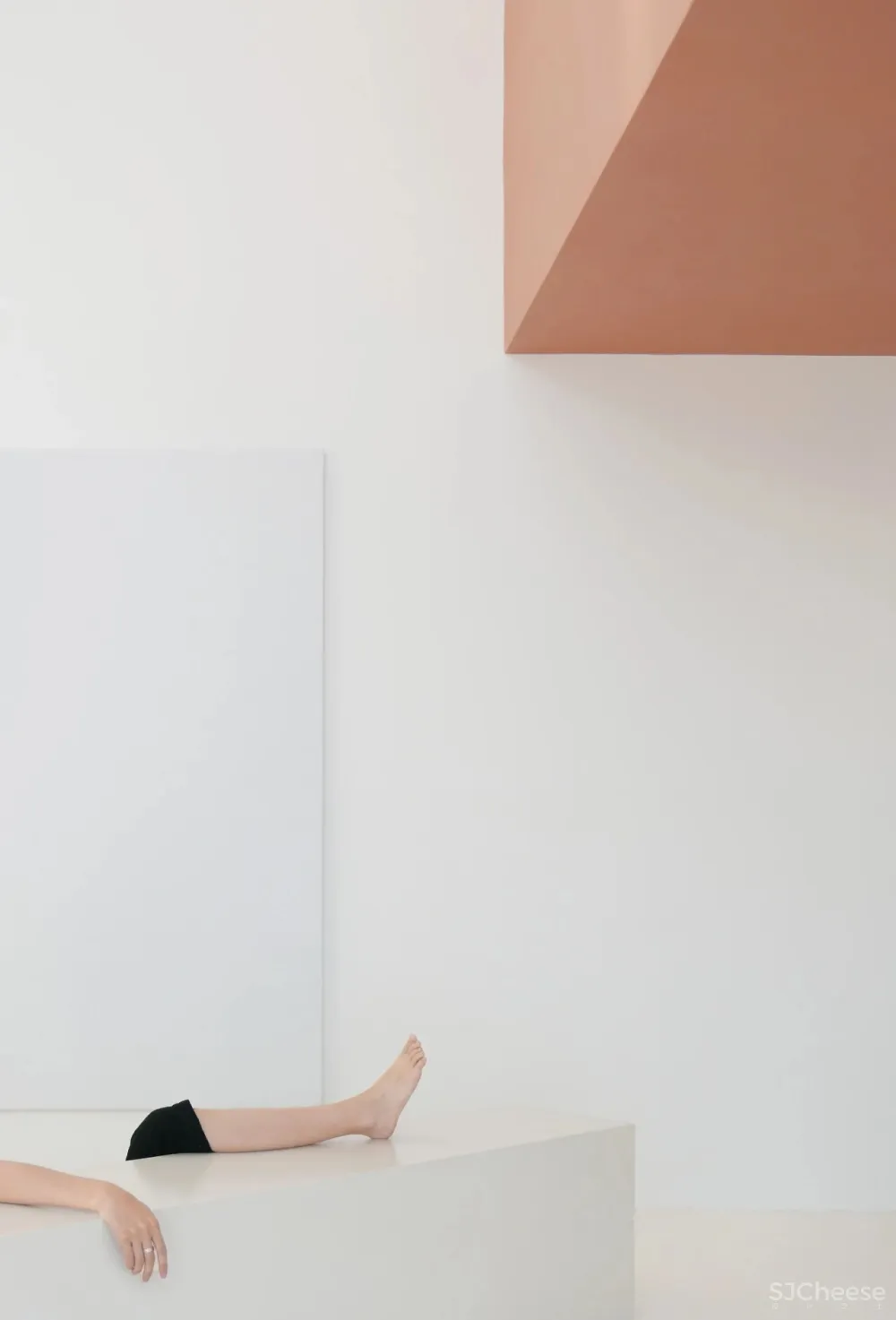 丁 鹏 文 极 简 到 极 致！