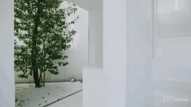 我家有地,为什么要造丑房子?上海夫妻200万造出极简别墅