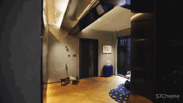 中产夫妇上海啃青菜,老家买豪宅:打飞的也要回去找快乐