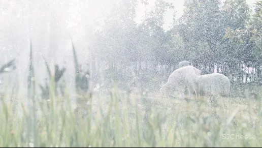 刘卫军新作 大自然宁静致远